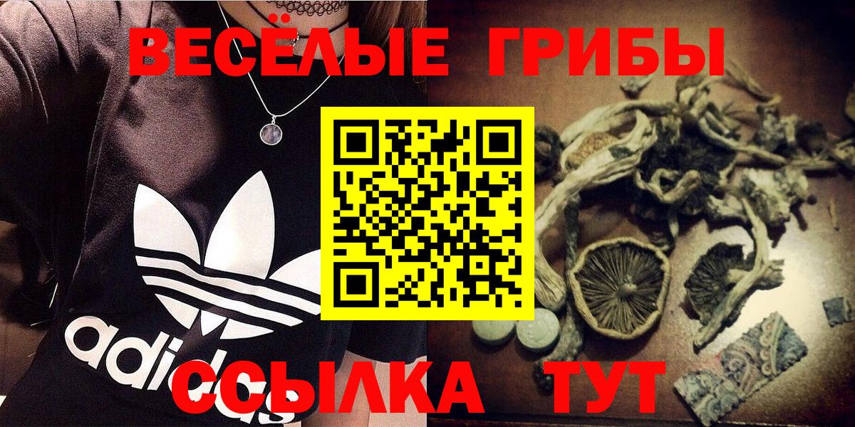 Галлюциногенные грибы ЛСД  Вход с VPN  Псилоцибиновые грибы MAGIC MUSHROOMS  Пугачёв 