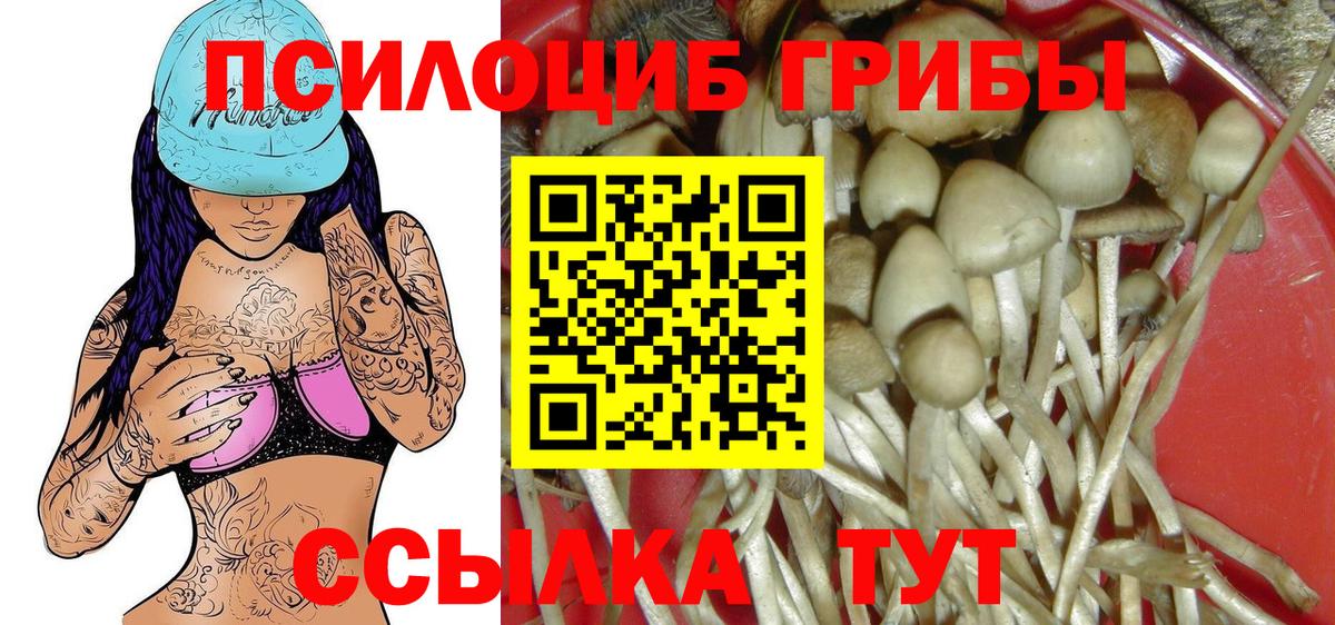Галлюциногенные грибы мухоморы Пугачёв